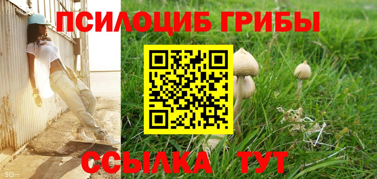 Кольчугино  цена   Галлюциногенные грибы Psilocybe  Вход с VPN  Псилоцибиновые грибы прущие грибы 