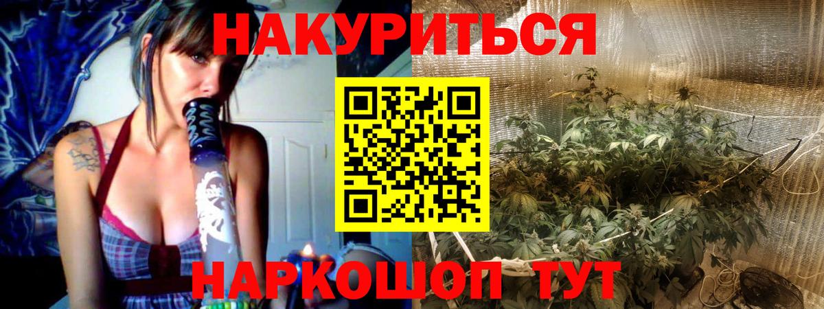 Каннабис конопля Кольчугино